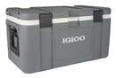 Igloo-48494