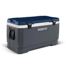 Igloo-50003-I
