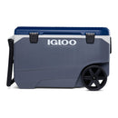 Igloo-34547