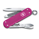Victorinox Swiss Army Corporate Gifts-0.6221.251G