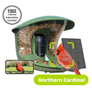 Birdfy-EPPAMBNI8612100
