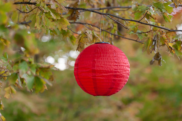 Allsop Home & Garden The Festival lantern