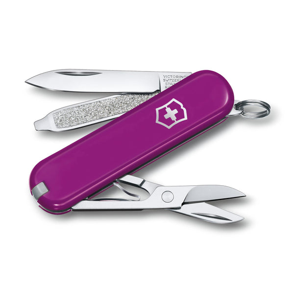 Victorinox Swiss Army Corporate Gifts-0.6223.52G