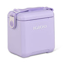 Igloo-32973