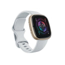 Fitbit-FB521GLBM-US