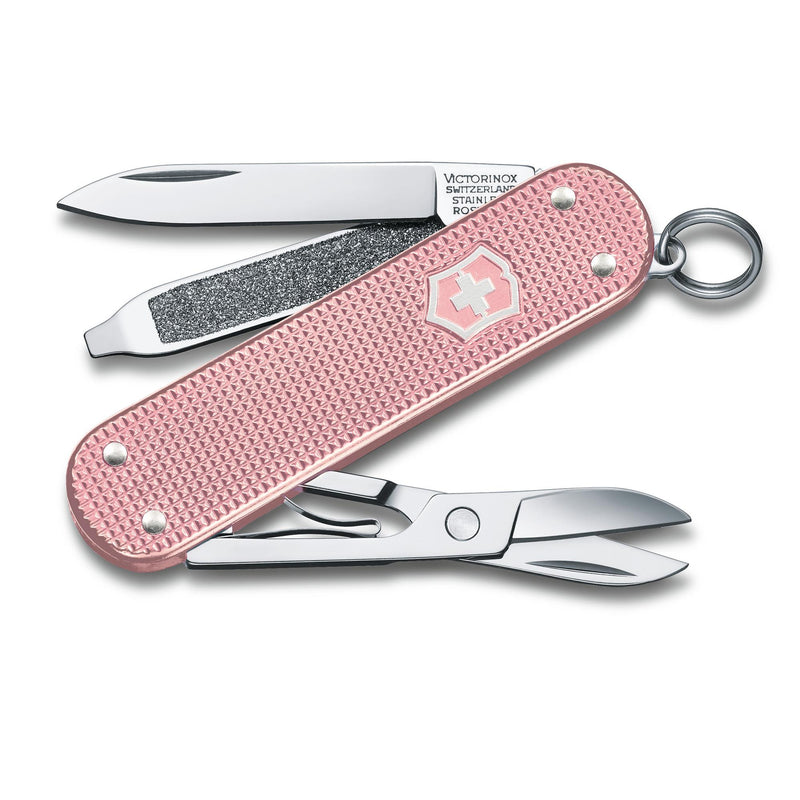 Victorinox Swiss Army Corporate Gifts-0.6221.252G