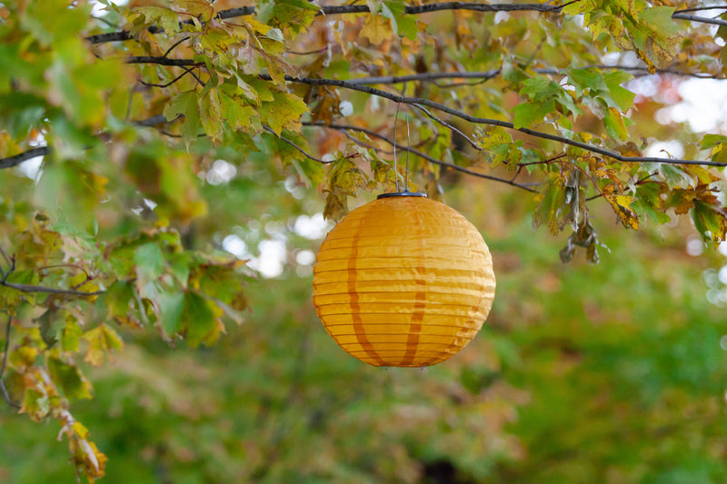 Allsop Home & Garden The Festival lantern