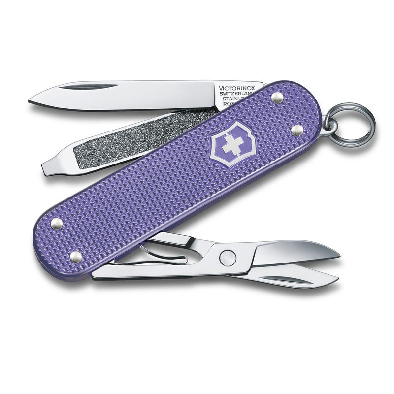 Victorinox Swiss Army Corporate Gifts-0.6221.223G