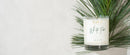 Glow Candle Company-HO_WhitePine