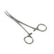 Kelly Curved Forceps