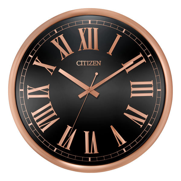 Citizen-CC2024