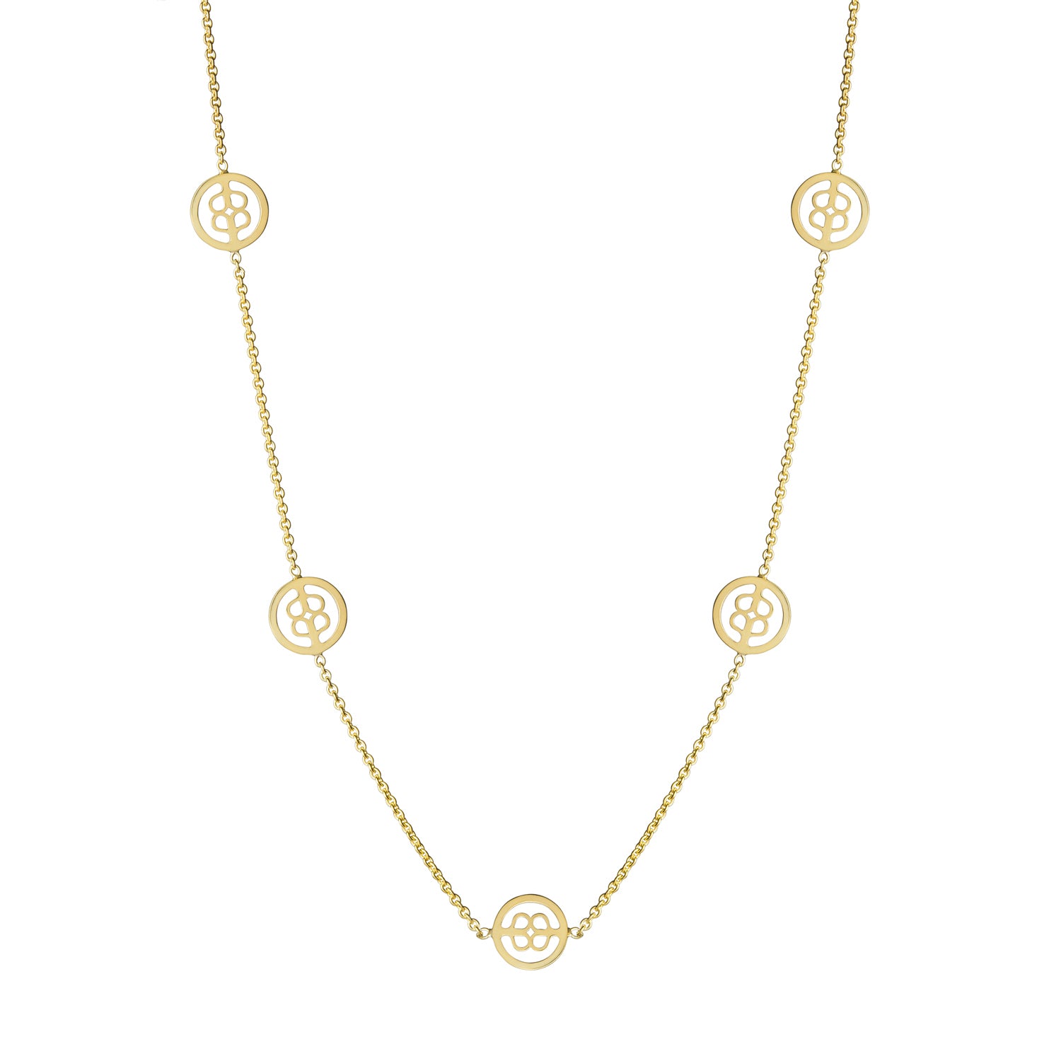 Transformation Necklace