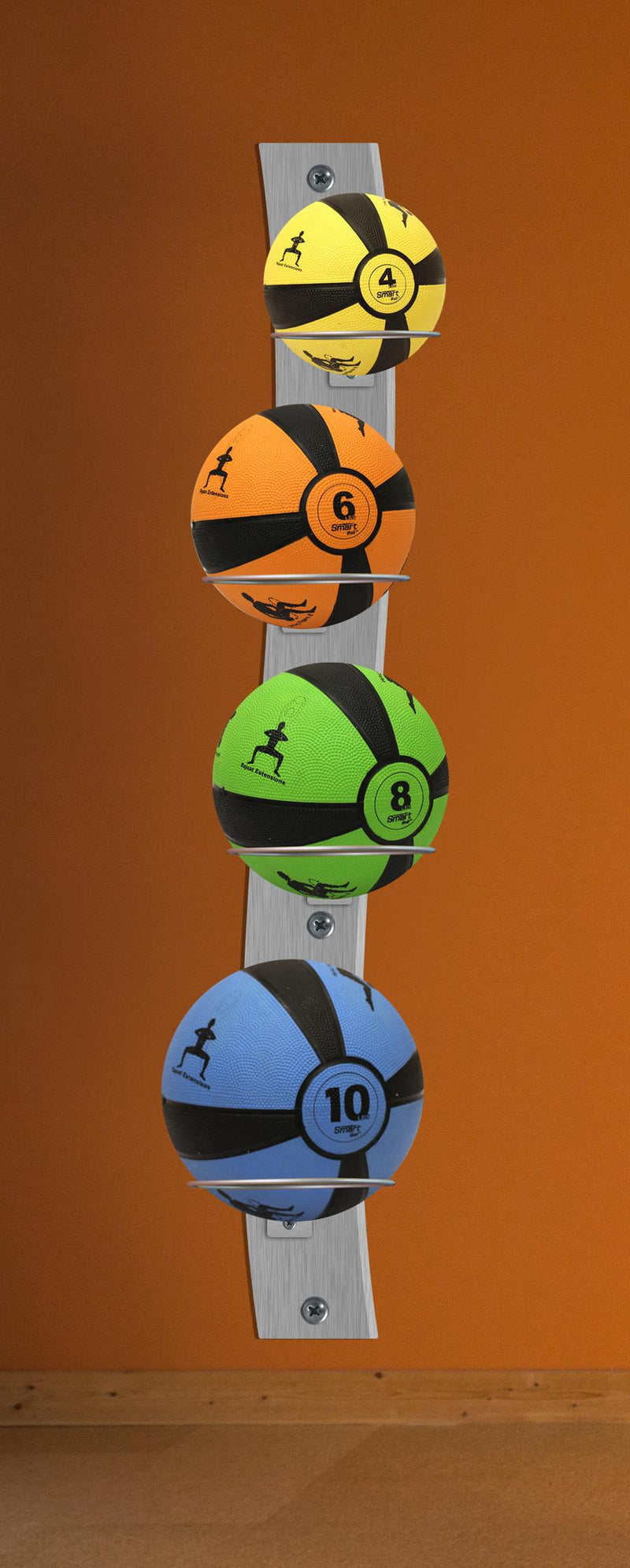 Prism Fitness Wall-Mounted Medicine Ball Rack Package